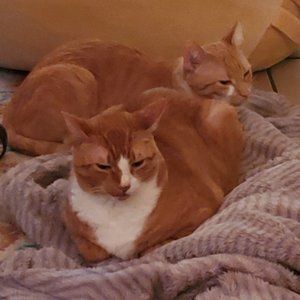 Meet your Posher, Mi